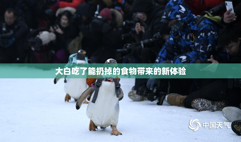 大白吃了能扔掉的食物带来的新体验