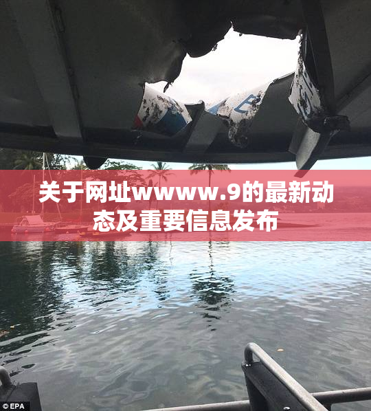 关于网址wwww.9的最新动态及重要信息发布