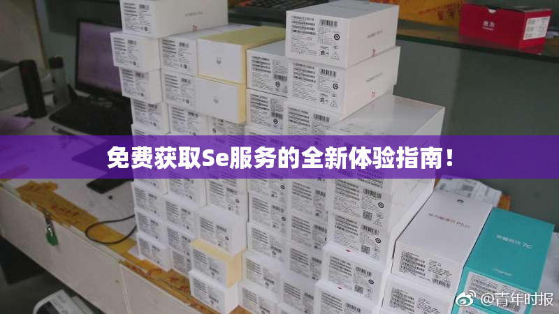 免费获取Se服务的全新体验指南！