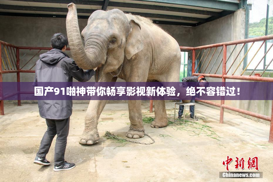 国产91啪神带你畅享影视新体验，绝不容错过！