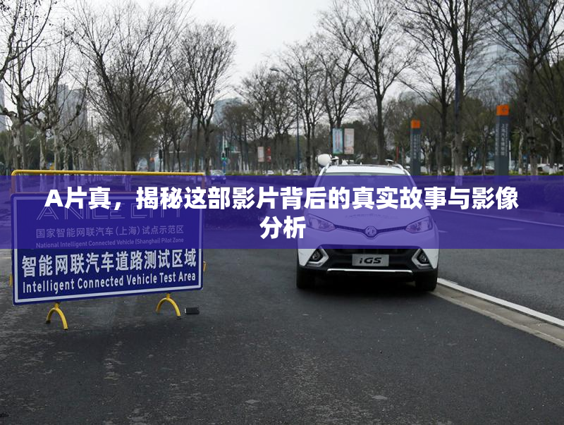 A片真，揭秘这部影片背后的真实故事与影像分析