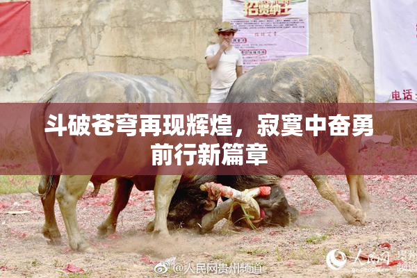 斗破苍穹再现辉煌，寂寞中奋勇前行新篇章