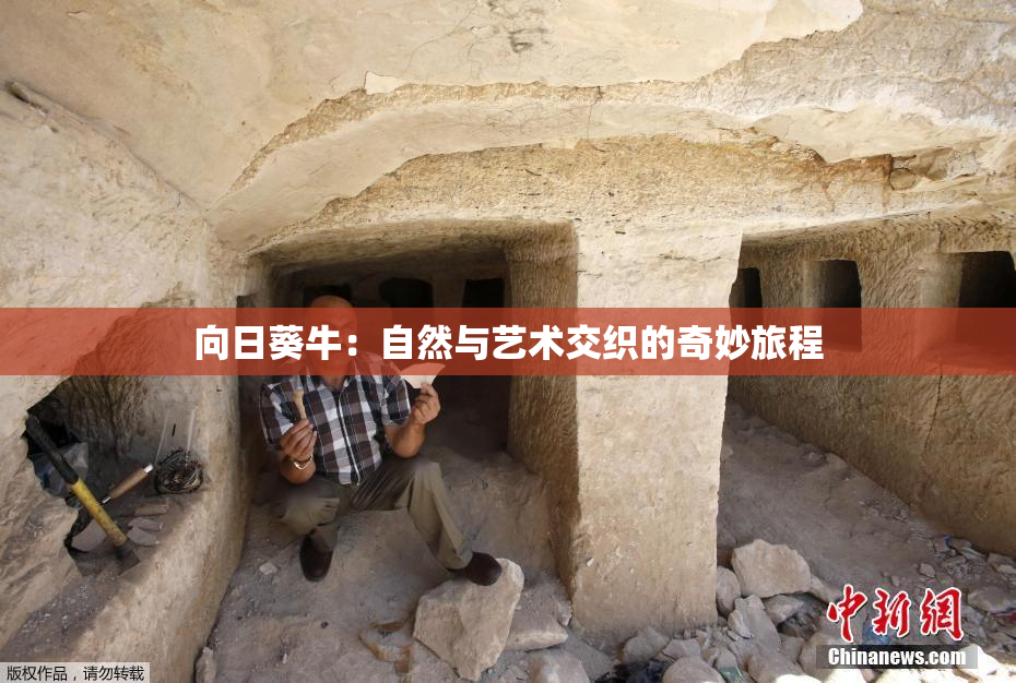 向日葵牛：自然与艺术交织的奇妙旅程