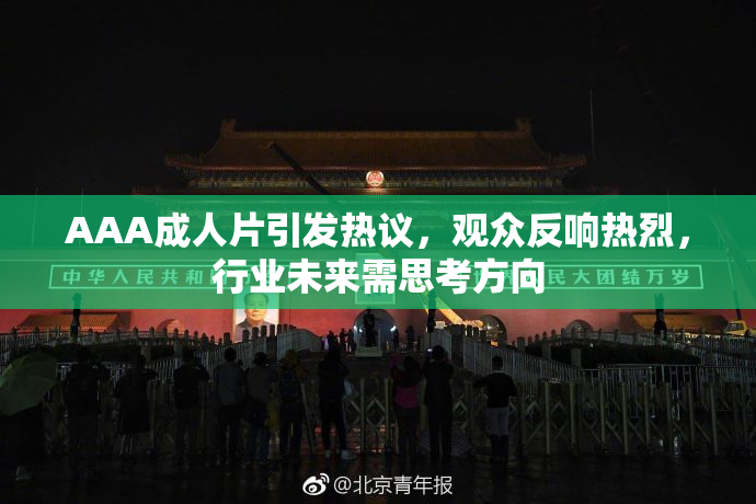 AAA成人片引发热议，观众反响热烈，行业未来需思考方向