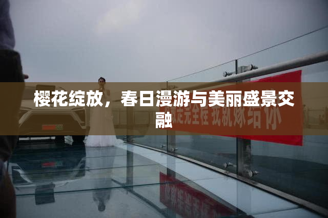 樱花绽放，春日漫游与美丽盛景交融