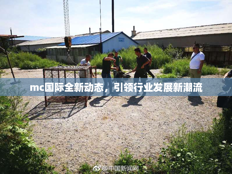 mc国际全新动态，引领行业发展新潮流