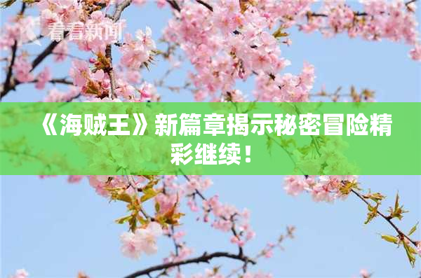 《海贼王》新篇章揭示秘密冒险精彩继续！