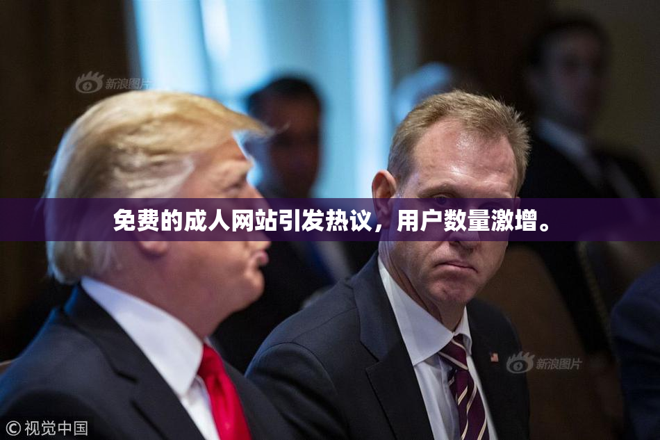 免费的成人网站引发热议，用户数量激增。