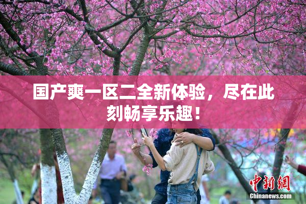 国产爽一区二全新体验，尽在此刻畅享乐趣！
