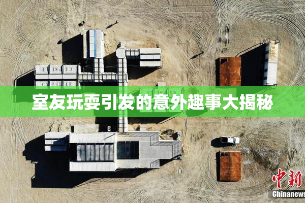 室友玩耍引发的意外趣事大揭秘