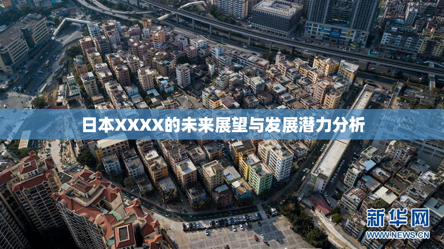 日本XXXX的未来展望与发展潜力分析