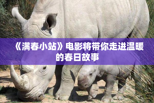 《满春小站》电影将带你走进温暖的春日故事