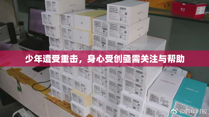 少年遭受重击，身心受创亟需关注与帮助