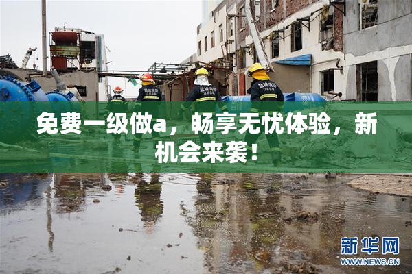 免费一级做a，畅享无忧体验，新机会来袭！