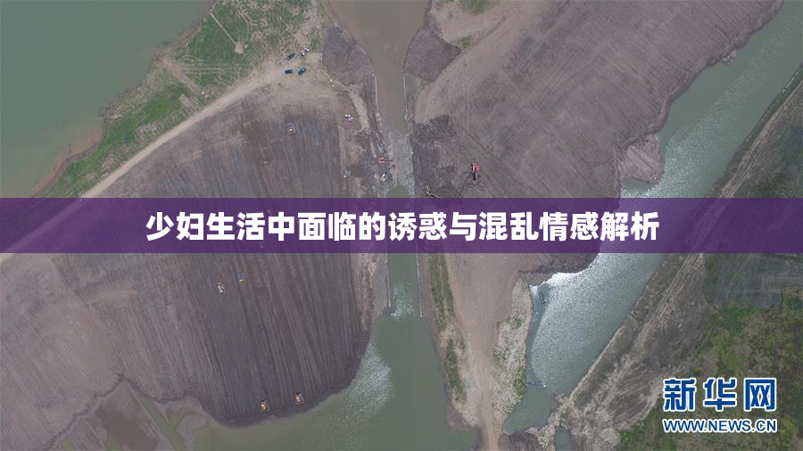 少妇生活中面临的诱惑与混乱情感解析