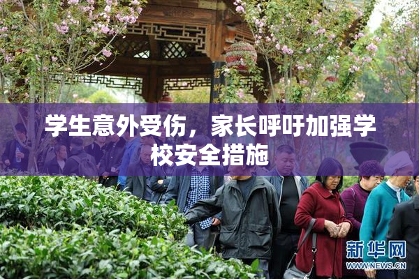 学生意外受伤，家长呼吁加强学校安全措施