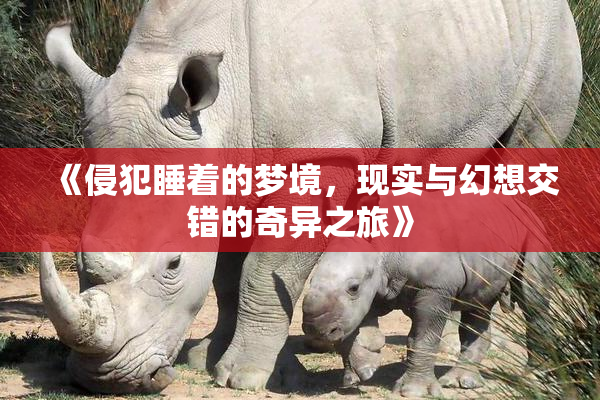 《侵犯睡着的梦境，现实与幻想交错的奇异之旅》