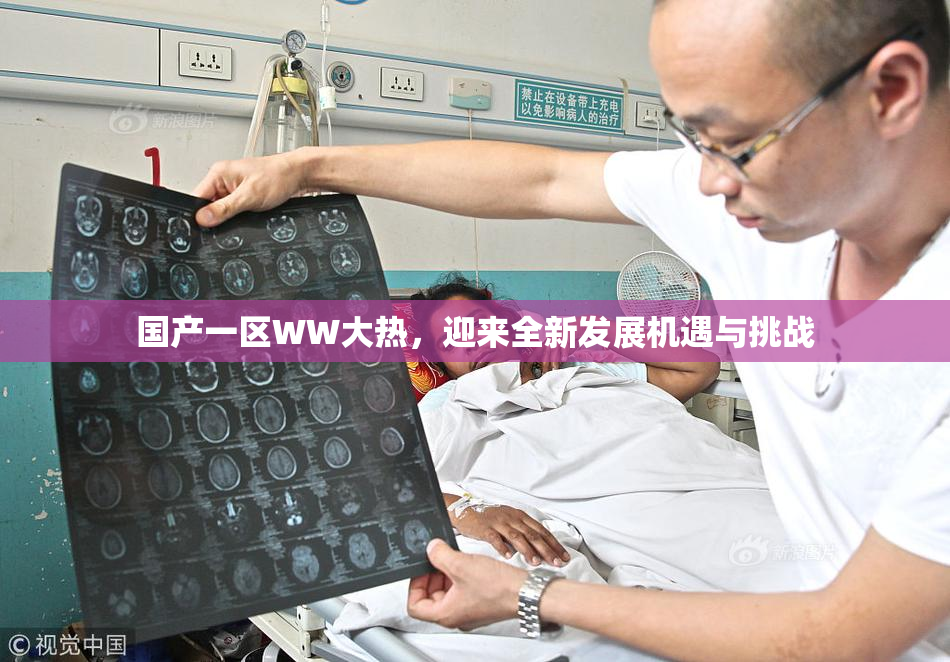 国产一区WW大热，迎来全新发展机遇与挑战