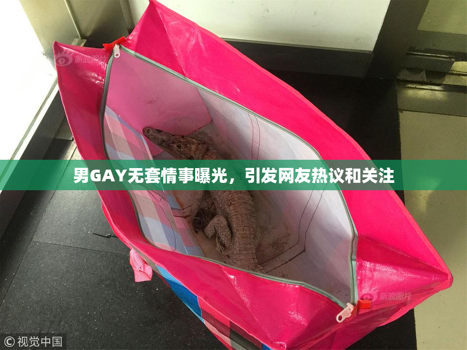 男GAY无套情事曝光，引发网友热议和关注