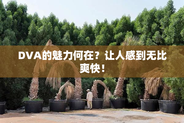 DVA的魅力何在？让人感到无比爽快！