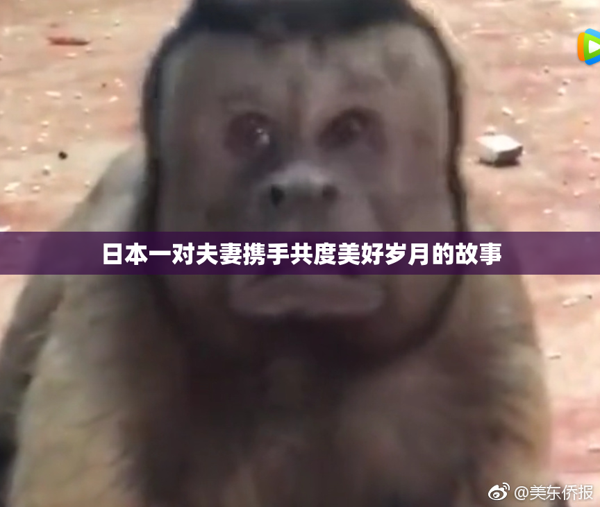 日本一对夫妻携手共度美好岁月的故事