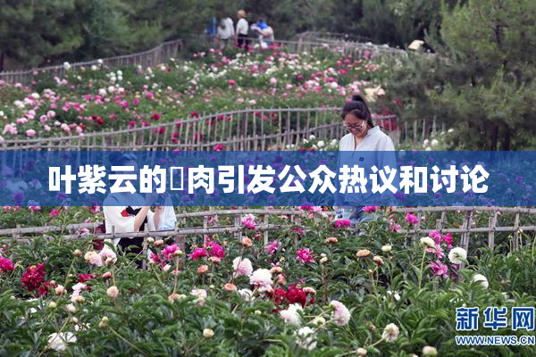 叶紫云的婬肉引发公众热议和讨论