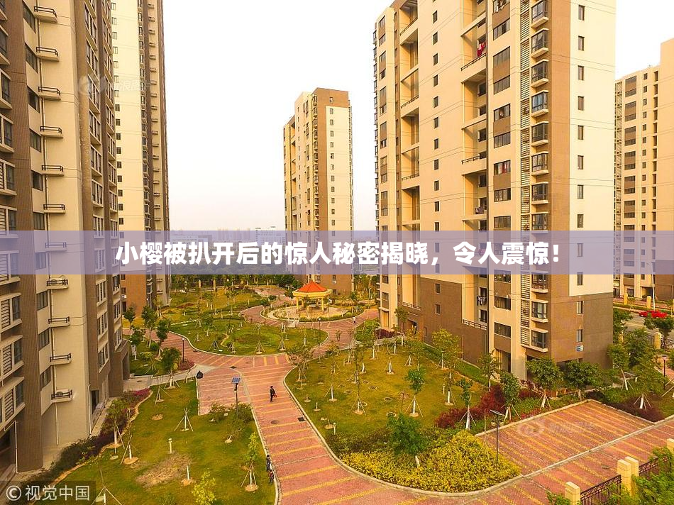 小樱被扒开后的惊人秘密揭晓，令人震惊！