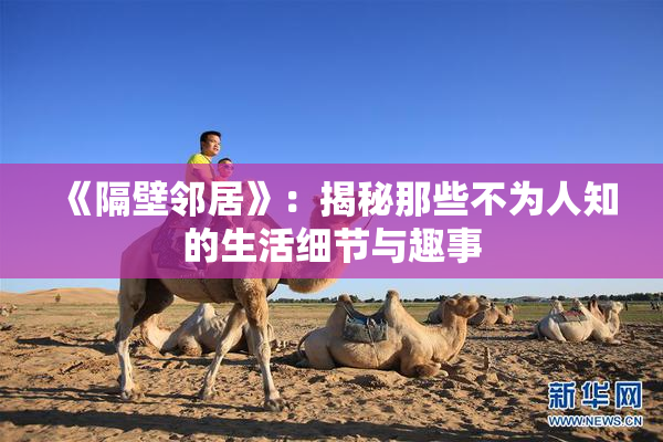 《隔壁邻居》：揭秘那些不为人知的生活细节与趣事