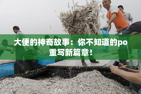 大便的神奇故事：你不知道的po重写新篇章！