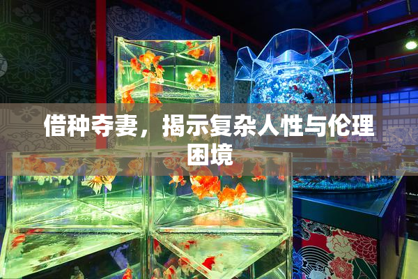 借种夺妻，揭示复杂人性与伦理困境