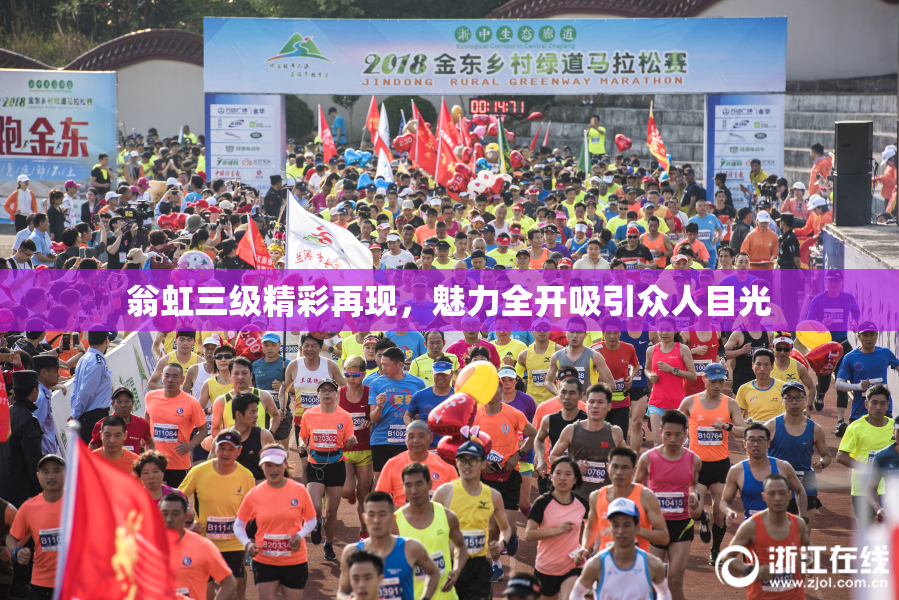 翁虹三级精彩再现，魅力全开吸引众人目光