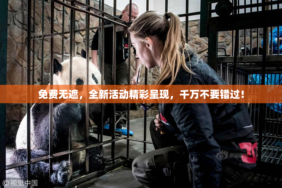 免费无遮，全新活动精彩呈现，千万不要错过！