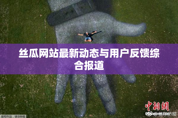 丝瓜网站最新动态与用户反馈综合报道