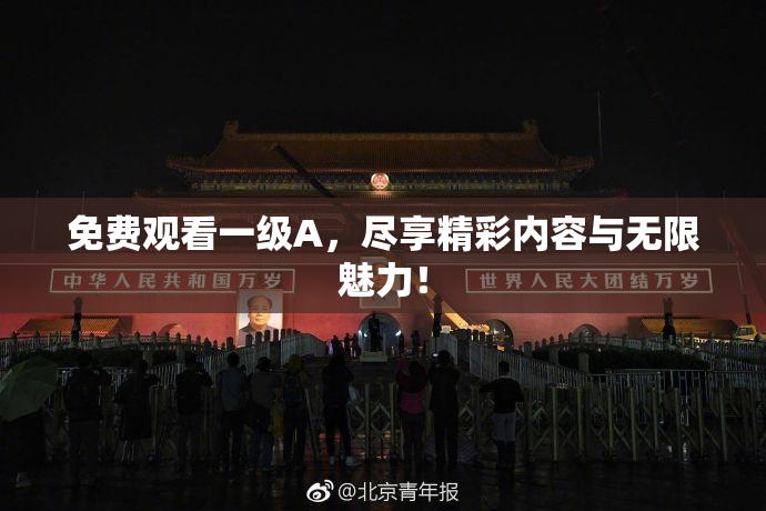 免费观看一级A，尽享精彩内容与无限魅力！