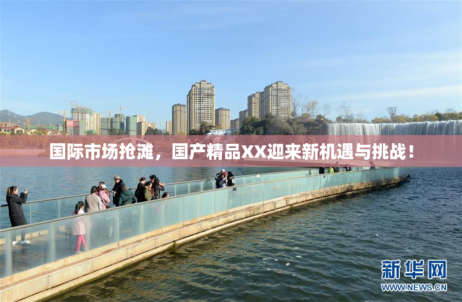 国际市场抢滩，国产精品XX迎来新机遇与挑战！