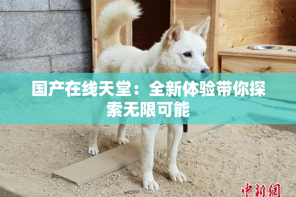 国产在线天堂：全新体验带你探索无限可能