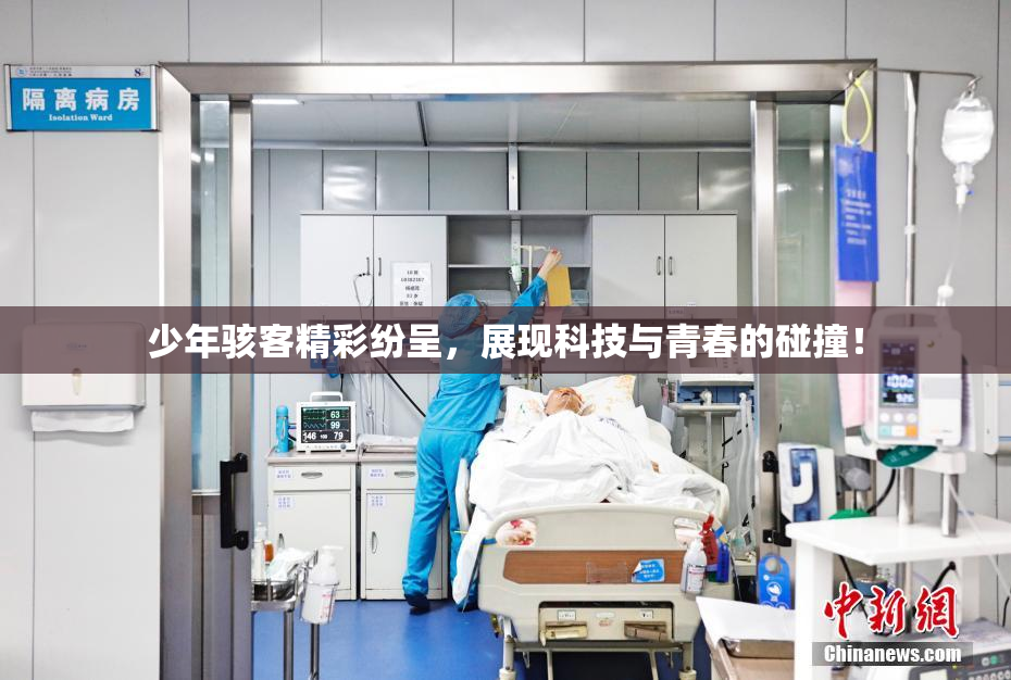 少年骇客精彩纷呈，展现科技与青春的碰撞！