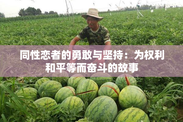 同性恋者的勇敢与坚持：为权利和平等而奋斗的故事