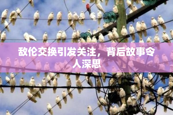 敌伦交换引发关注，背后故事令人深思