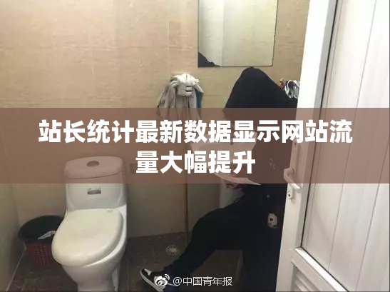 站长统计最新数据显示网站流量大幅提升