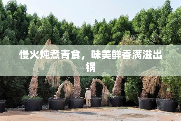 慢火炖煮青食，味美鲜香满溢出锅
