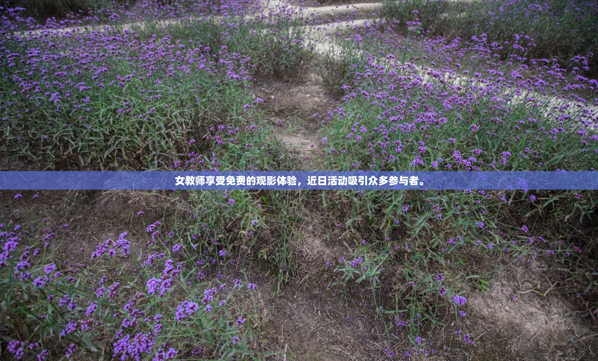女教师享受免费的观影体验，近日活动吸引众多参与者。