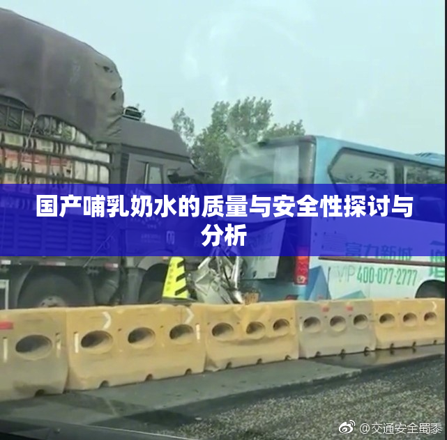 国产哺乳奶水的质量与安全性探讨与分析