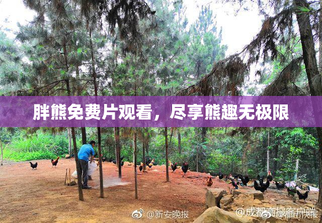 胖熊免费片观看，尽享熊趣无极限