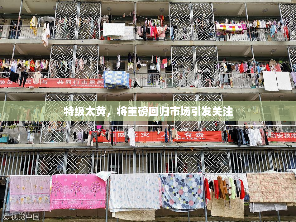 特级太黄，将重磅回归市场引发关注