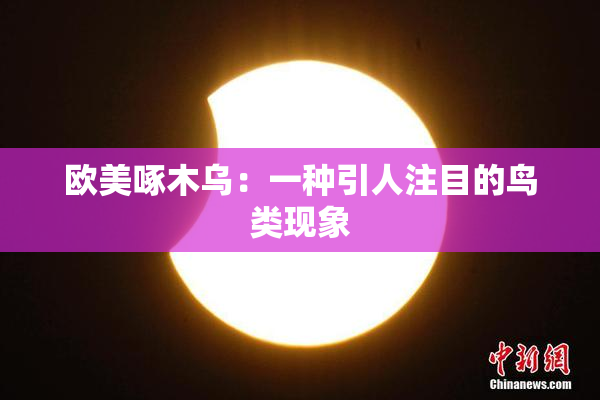 欧美啄木乌：一种引人注目的鸟类现象