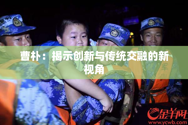 曹朴：揭示创新与传统交融的新视角