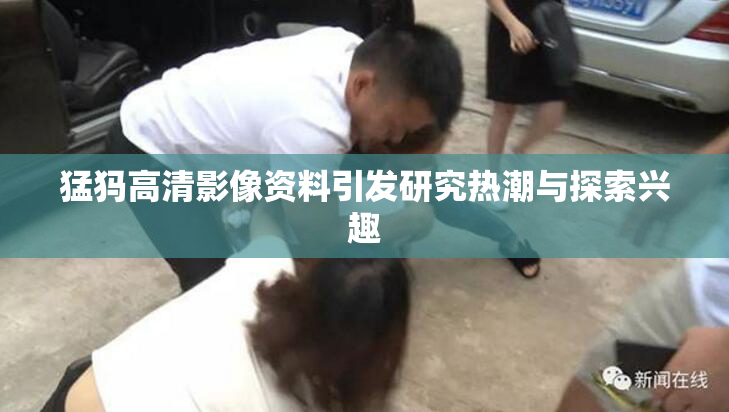 猛犸高清影像资料引发研究热潮与探索兴趣