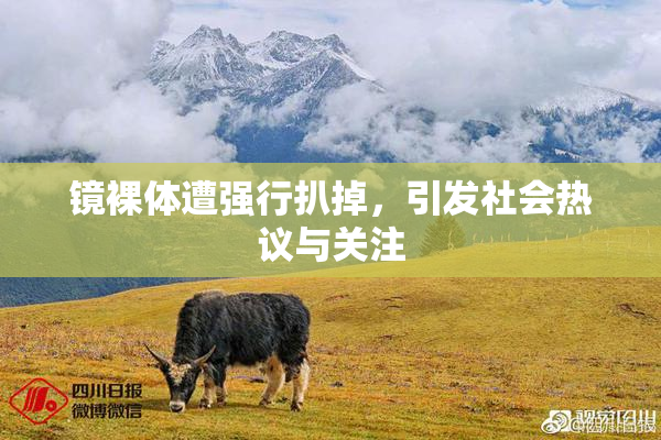 镜裸体遭强行扒掉，引发社会热议与关注