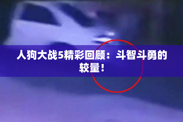 人狗大战5精彩回顾：斗智斗勇的较量！